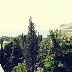 Отель Волна, Сочи, Краснодарский край