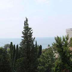 Отель Волна, Сочи, Краснодарский край