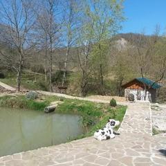 База отдыха Подкова, Сочи, Краснодарский край