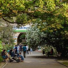 Отель Helix, Сочи, Краснодарский край