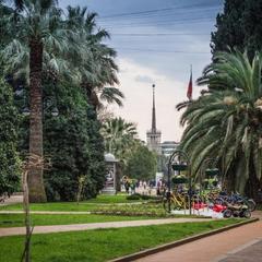 Хостел Красный кот, Сочи, Краснодарский край