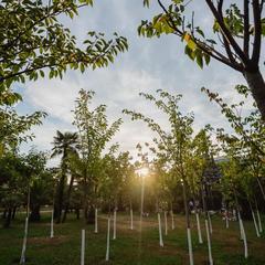 Отель Helix, Сочи, Краснодарский край