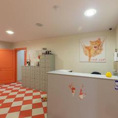 Хостел Красный кот, Сочи, Краснодарский край