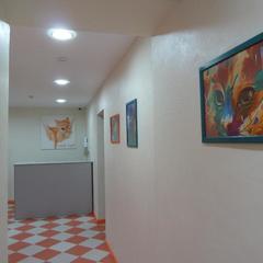 Хостел Красный кот, Сочи, Краснодарский край