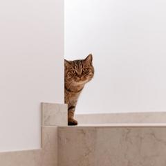 Хостел DeArt, Сочи, Краснодарский край