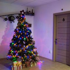 Хостел Сити, Сочи, Краснодарский край