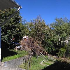 Гостевой дом На Тельмана 39, Сочи, Краснодарский край