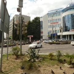 Гостевой дом Солнечный, Сочи, Краснодарский край