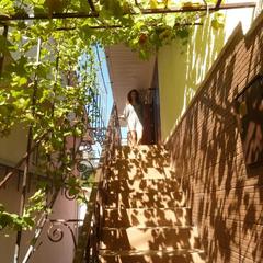 Гостевой дом Солнечный, Сочи, Краснодарский край