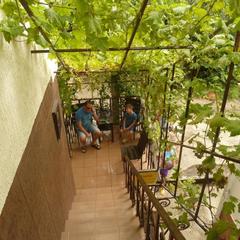 Гостевой дом Солнечный, Сочи, Краснодарский край