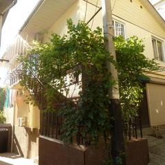 Гостевой дом Солнечный, Сочи, Краснодарский край