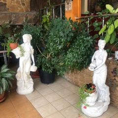 Отель MozArt Inn, Сочи, Краснодарский край