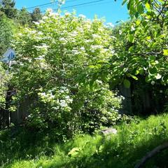 Гостевой дом Райский уголок, Нижнее Учдере, Краснодарский край