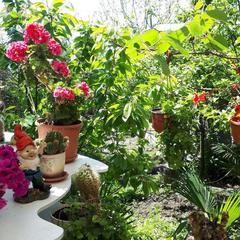 Гостевой дом Райский уголок, Нижнее Учдере, Краснодарский край