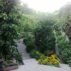 Гостевой дом Райский уголок, Нижнее Учдере, Краснодарский край