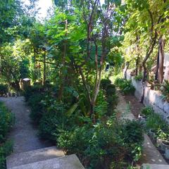 Гостевой дом Райский уголок, Нижнее Учдере, Краснодарский край