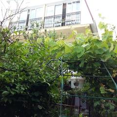 Гостевой дом Райский уголок, Нижнее Учдере, Краснодарский край