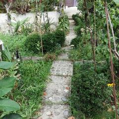 Гостевой дом Райский уголок, Нижнее Учдере, Краснодарский край