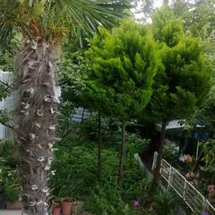 Гостевой дом Райский уголок, Нижнее Учдере, Краснодарский край