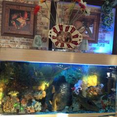 Отель MozArt Inn, Сочи, Краснодарский край