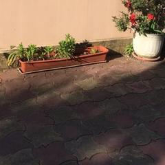 Гостевой дом Моника, Вардане, Краснодарский край