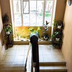 Гостевой дом Светлана на Учительской, Сочи, Краснодарский край