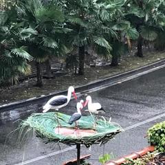 Гостевой дом На Черноморской, Сочи, Краснодарский край