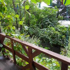 База отдыха Сосновый Бор в Чемитоквадже, Чемитоквадже, Краснодарский край