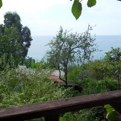 База отдыха Сосновый Бор в Чемитоквадже, Чемитоквадже, Краснодарский край