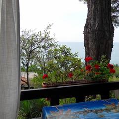 База отдыха Сосновый Бор в Чемитоквадже, Чемитоквадже, Краснодарский край