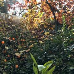 Гостевой дом На Черноморской, Сочи, Краснодарский край