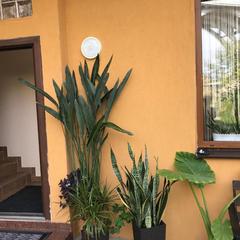 Гостевой дом На Черноморской, Сочи, Краснодарский край