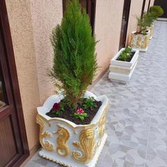 Гостевой дом Бирюза, Детляжка, Краснодарский край