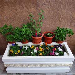 Гостевой дом Бирюза, Детляжка, Краснодарский край