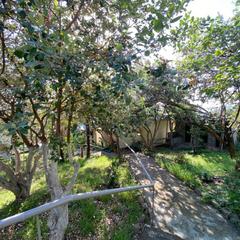 Гостевой дом Улица Декабристов 183 Дежавю, Сочи, Краснодарский край