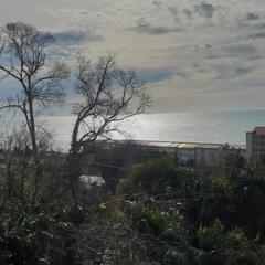 Гостевой дом Улица Декабристов 183 Дежавю, Сочи, Краснодарский край