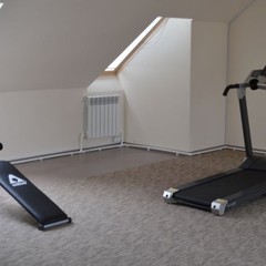 Парк-отель Кленовая роща, Спасск, Пензенская область