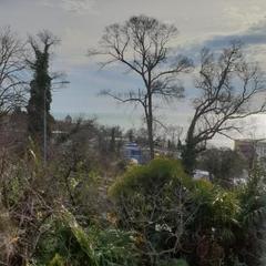 Гостевой дом Улица Декабристов 183 Дежавю, Сочи, Краснодарский край