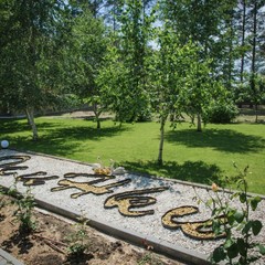 Загородный клуб Осинки, Среднеахтубинский район, Волгоградская область