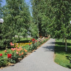 Загородный клуб Осинки, Среднеахтубинский район, Волгоградская область