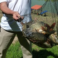 Турбаза Солнечный остров, Средняя Ахтуба, Волгоградская область