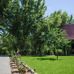 Загородный клуб Осинки, Среднеахтубинский район, Волгоградская область