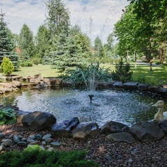 Загородный клуб Осинки, Среднеахтубинский район, Волгоградская область