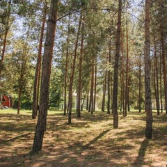 Загородный клуб Осинки, Среднеахтубинский район, Волгоградская область