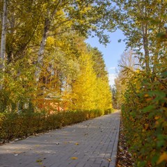Загородный клуб Осинки, Среднеахтубинский район, Волгоградская область
