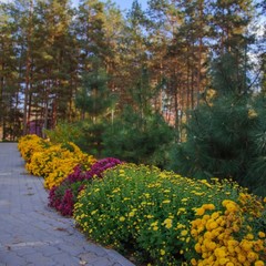 Загородный клуб Осинки, Среднеахтубинский район, Волгоградская область