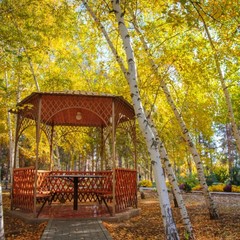 Загородный клуб Осинки, Среднеахтубинский район, Волгоградская область
