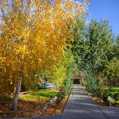 Загородный клуб Осинки, Среднеахтубинский район, Волгоградская область