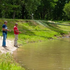 Турбаза Солнечный остров, Средняя Ахтуба, Волгоградская область