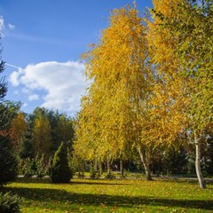 Загородный клуб Осинки, Среднеахтубинский район, Волгоградская область